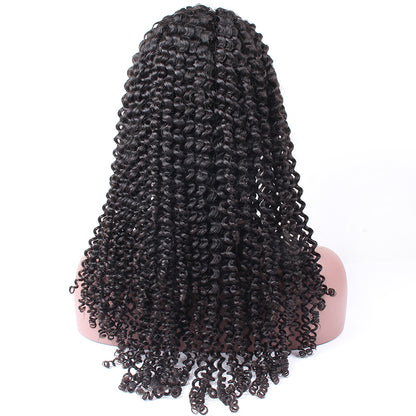Pre Plucked Swiss 360 Lace Kinky Curly Wig Best Brazilian Human Virgin RoseHair Wig - Rose Hair