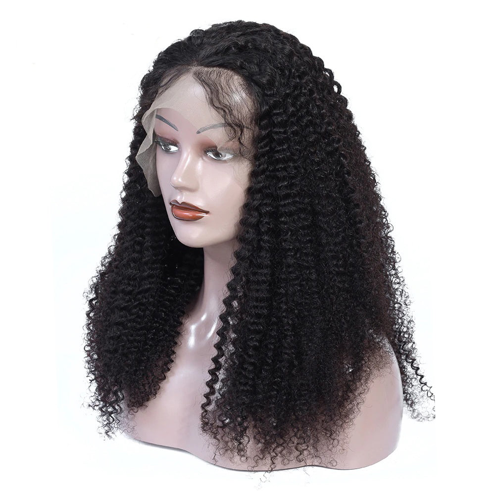 Rose Hair Full Lace Kinky Curly Best Brazilian Virgin Human Hair Gorgeous Soft Hair Wig - Rose Hair